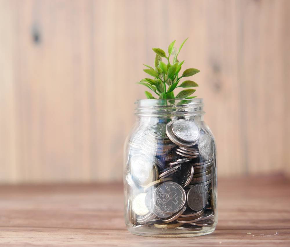Glass jar full of coins with a small green plant sprouting from the top