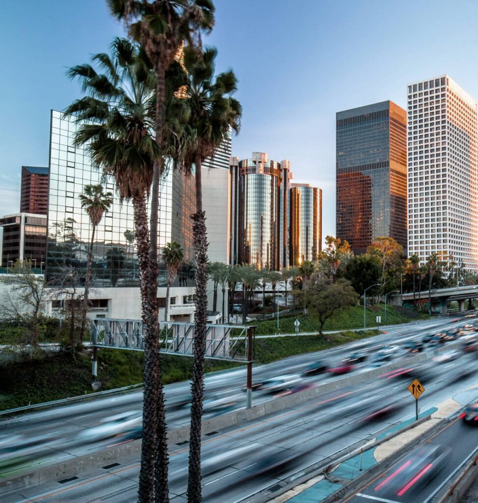 Home 11 Downtown Los Angeles skyline with palm trees